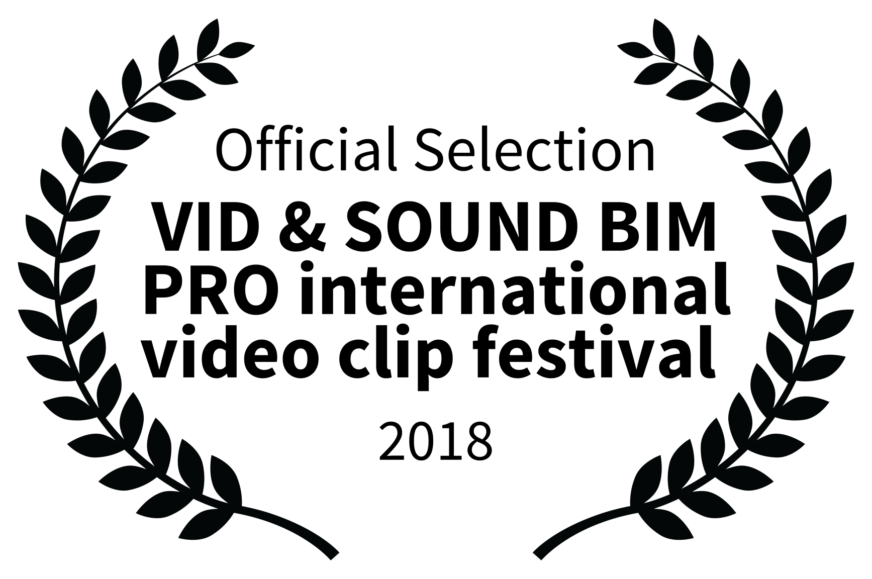 Official Selection – VID SOUND BIM PRO international video clip festival Sunny Day Looking for Emma Ned – Riberaigua Director- 2018