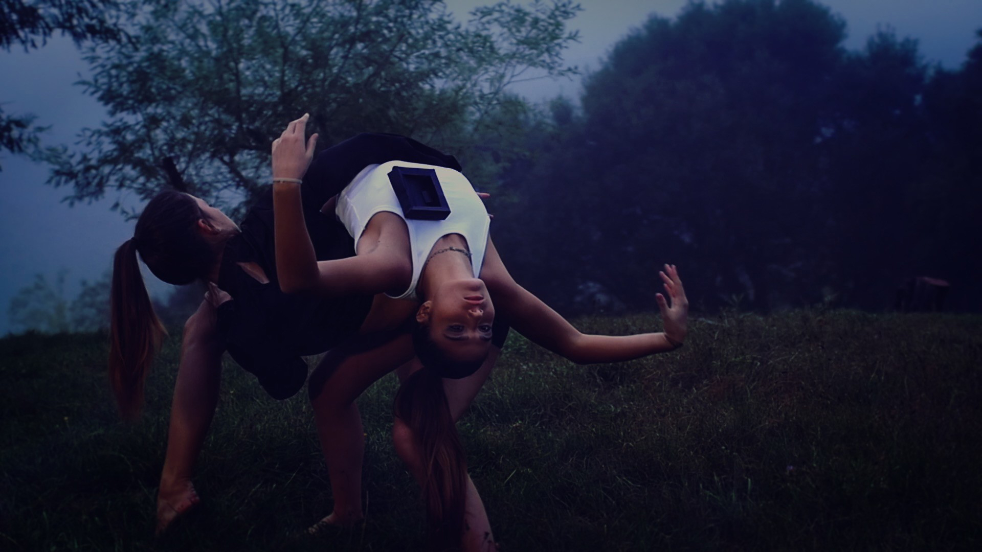 clip_-__Le_jour_du_dernier_jour_MS_butterfly_-_Viviane_Riberaigua_realisateur_1