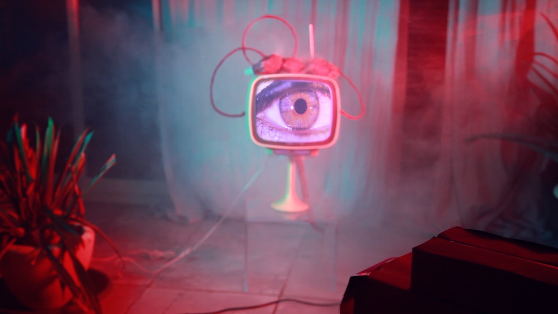 clip_-__Le_jour_du_dernier_jour_MS_butterfly_-_Viviane_Riberaigua_realisateur_165